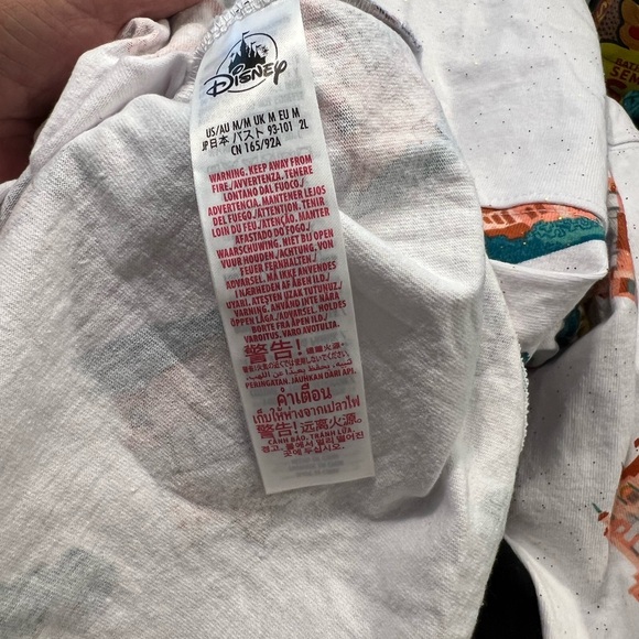 Disney Parks 4 Parks Icons Adults Oversized Spirt thick long sleeve tee - Picture 12 of 14